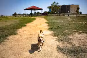 Happy Tails Dog Park - Brighton, CO