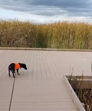 Brillion Nature Center - Brillion, WI