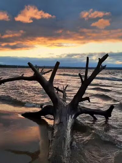 Brimley State Park - Brimley,