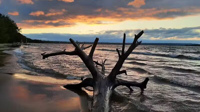 Brimley State Park - Brimley,