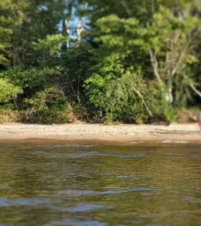 Brimley State Park - Brimley,