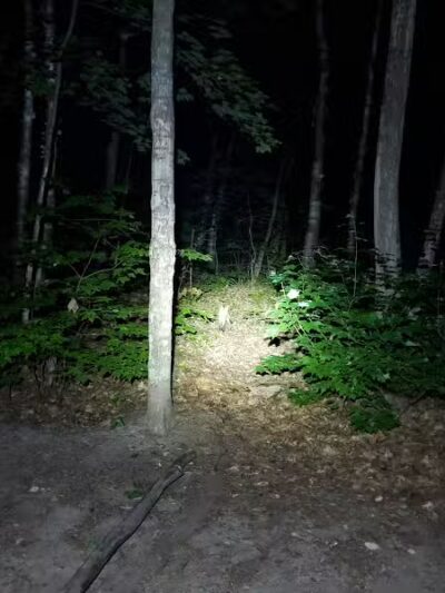 Monocle Lake Campground - Brimley, MI