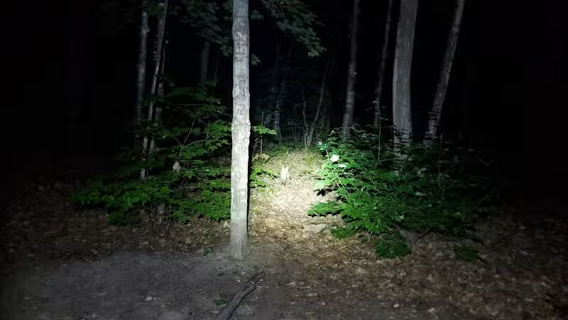 Monocle Lake Campground - Brimley, MI