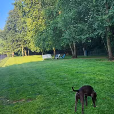 East Windsor Dog Park - Broad Brook, CT