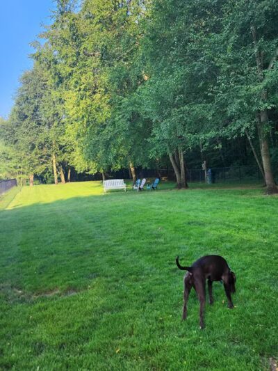 East Windsor Dog Park - Broad Brook, CT