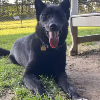 East Windsor Dog Park - Broad Brook, CT