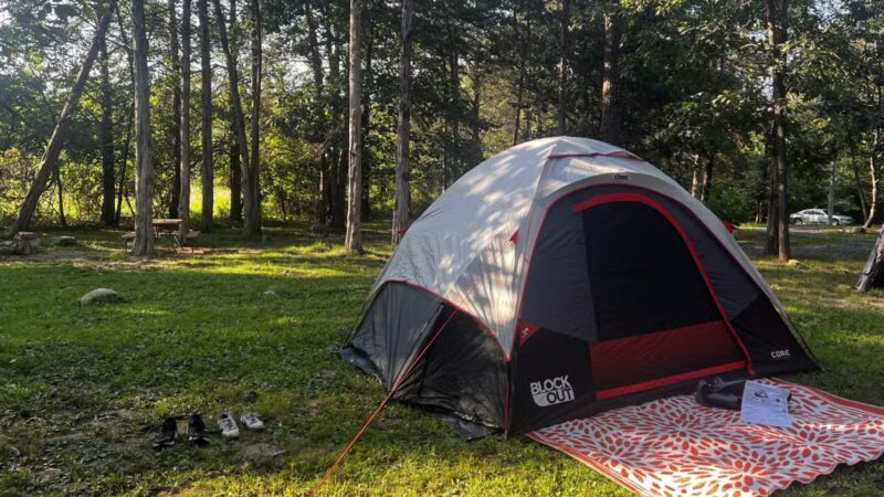 Harrisonburg / Shenandoah Valley KOA Holiday - Broadway, VA