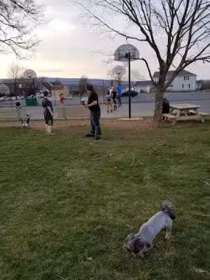 Broadway Community Park - Broadway, VA