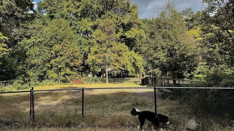 Canine Court - Bronx, NY