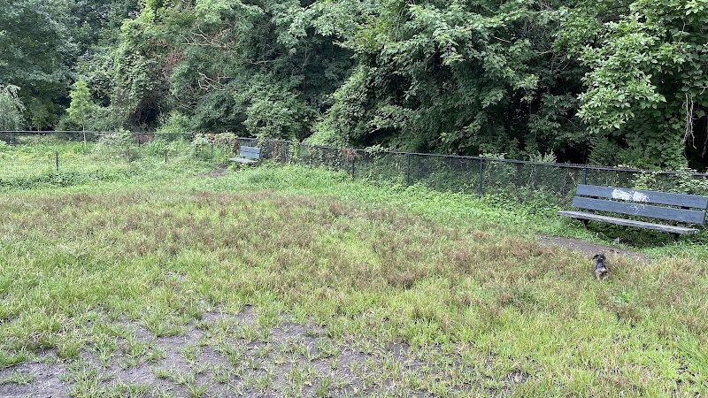 Canine Court - Bronx, NY