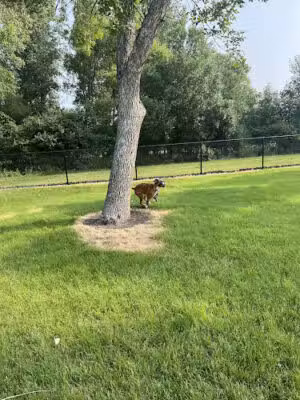 Brookings Dog Park - Brookings, SD