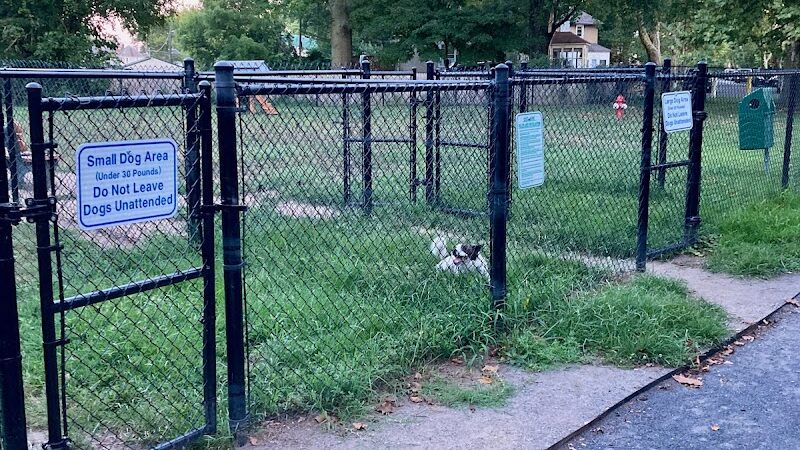 Brooklawn Dog Park - Brooklawn, NJ