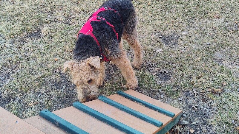 Brooklawn Dog Park - Brooklawn, NJ