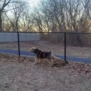 Brooklawn Dog Park - Brooklawn, NJ