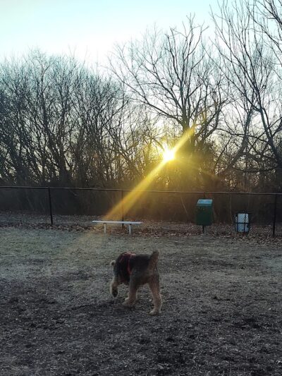 Brooklawn Dog Park - Brooklawn, NJ