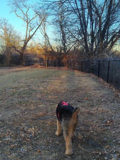 Brooklawn Dog Park - Brooklawn, NJ