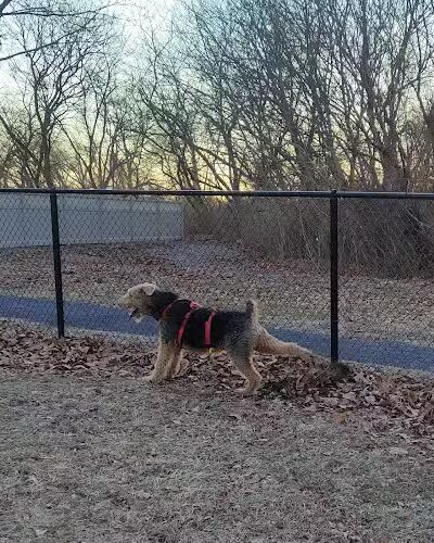Brooklawn Dog Park - Brooklawn, NJ