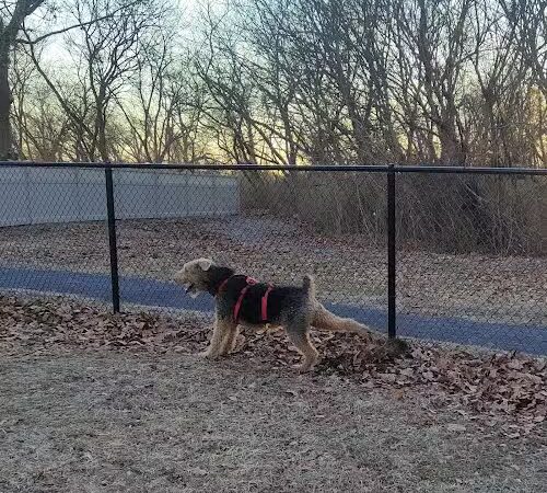 Brooklawn Dog Park - Brooklawn, NJ