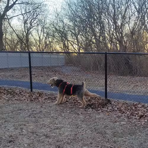 Brooklawn Dog Park - Brooklawn, NJ
