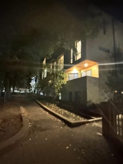 Off leash dog playground - Brookline, MA