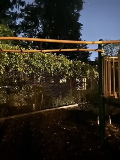 Off leash dog playground - Brookline, MA