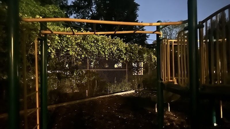 Off leash dog playground - Brookline, MA