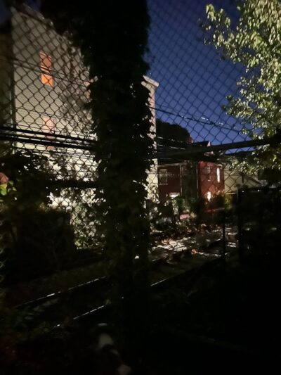 Off leash dog playground - Brookline, MA