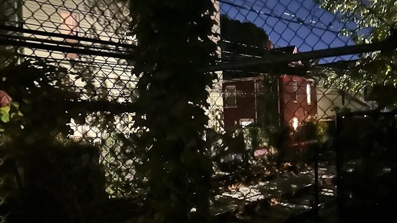 Off leash dog playground - Brookline, MA