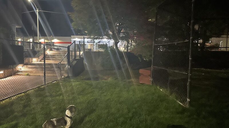 Off leash dog playground - Brookline, MA