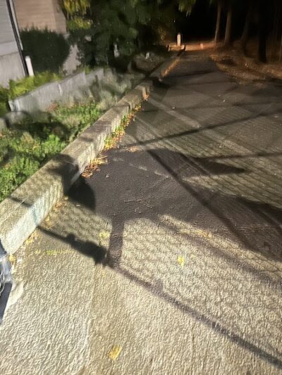 Off leash dog playground - Brookline, MA