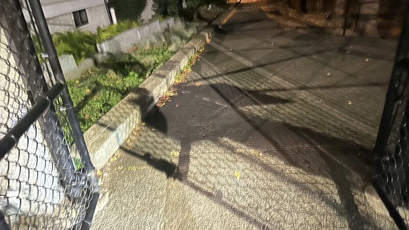 Off leash dog playground - Brookline, MA