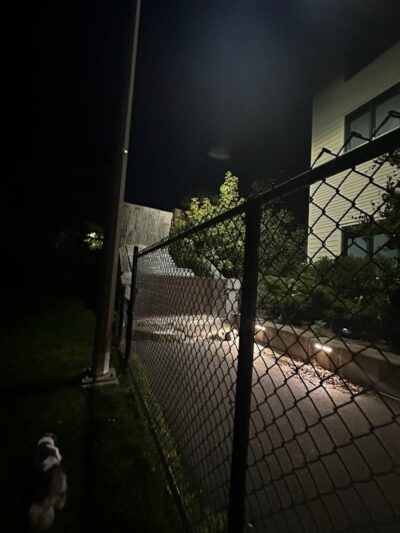 Off leash dog playground - Brookline, MA