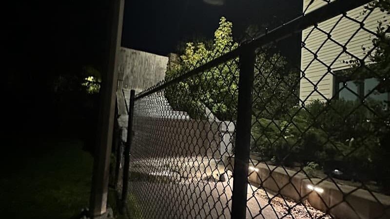 Off leash dog playground - Brookline, MA