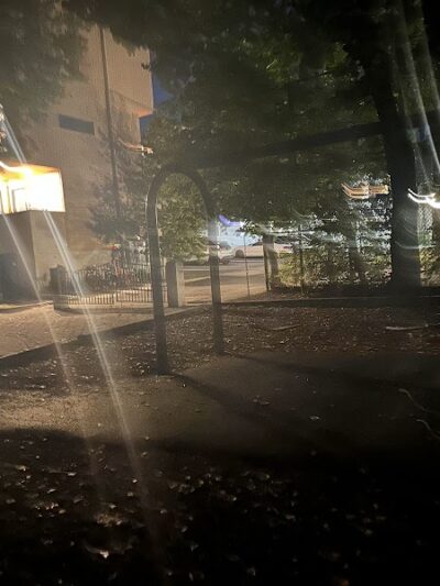 Off leash dog playground - Brookline, MA