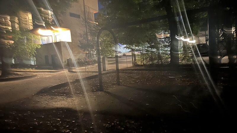 Off leash dog playground - Brookline, MA