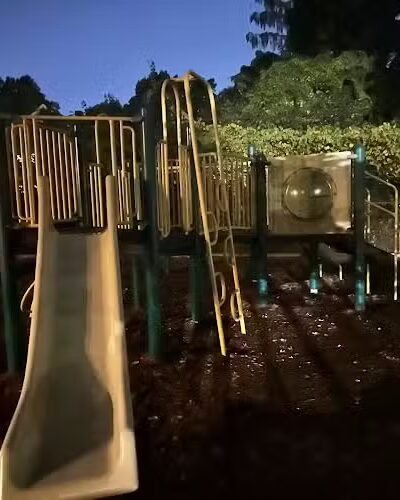 Off leash dog playground - Brookline, MA