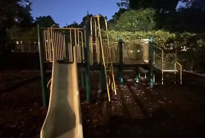 Off leash dog playground - Brookline, MA