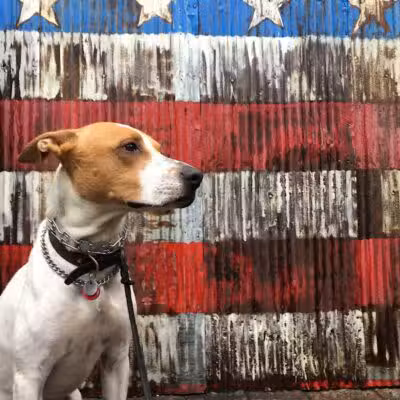 Brooklyn Bark - Brooklyn,