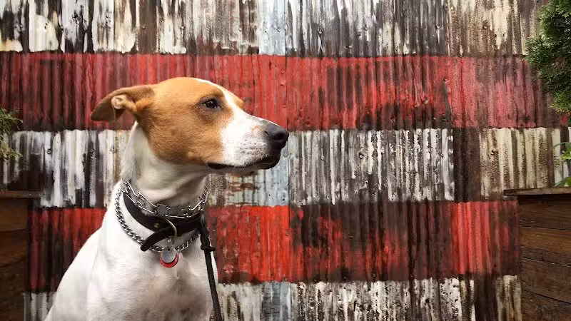 Brooklyn Bark - Brooklyn,
