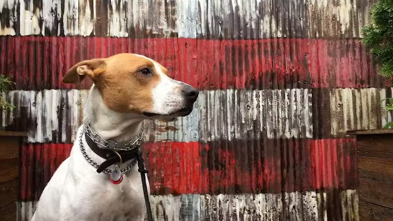 Brooklyn Bark - Brooklyn,