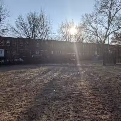 Cooper Park Dog Run - Brooklyn,