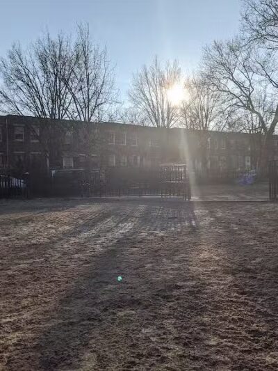Cooper Park Dog Run - Brooklyn,