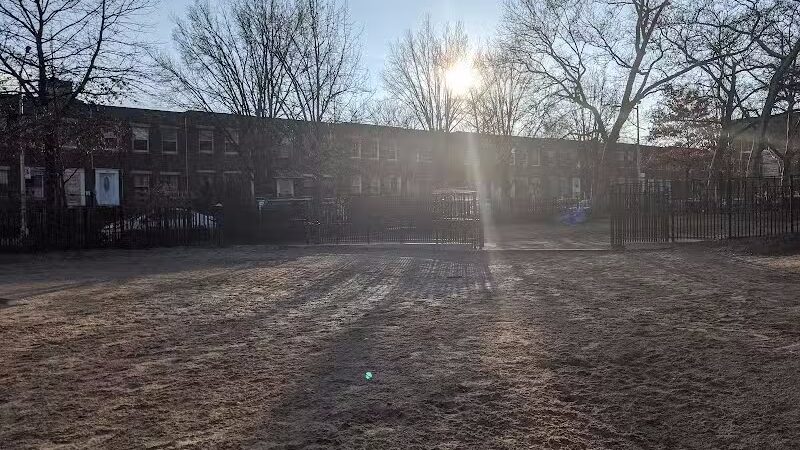 Cooper Park Dog Run - Brooklyn,