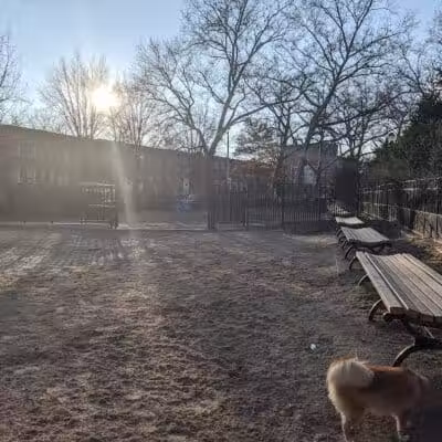Cooper Park Dog Run - Brooklyn,