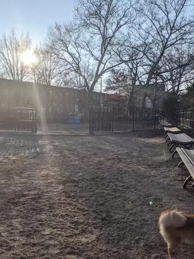 Cooper Park Dog Run - Brooklyn,