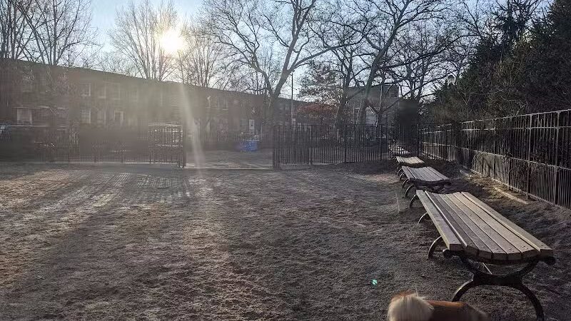 Cooper Park Dog Run - Brooklyn,