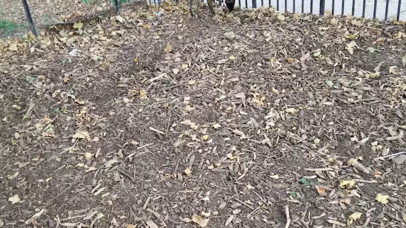 Cooper Park Dog Run - Brooklyn,