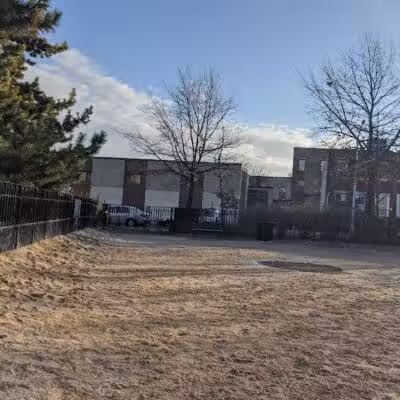 Cooper Park Dog Run - Brooklyn,