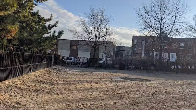 Cooper Park Dog Run - Brooklyn,