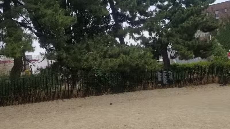 Cooper Park Dog Run - Brooklyn,